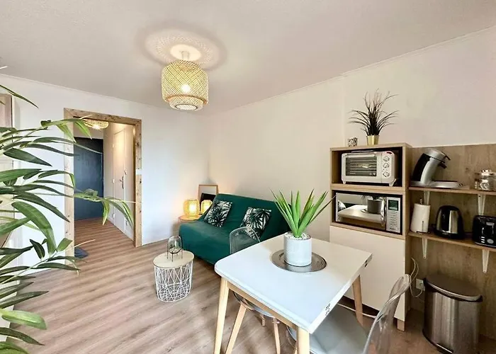 Studio Cosy Climatise Carnon Plage